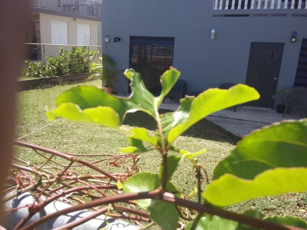 Labadie Apartment Aguadilla Exteriör bild